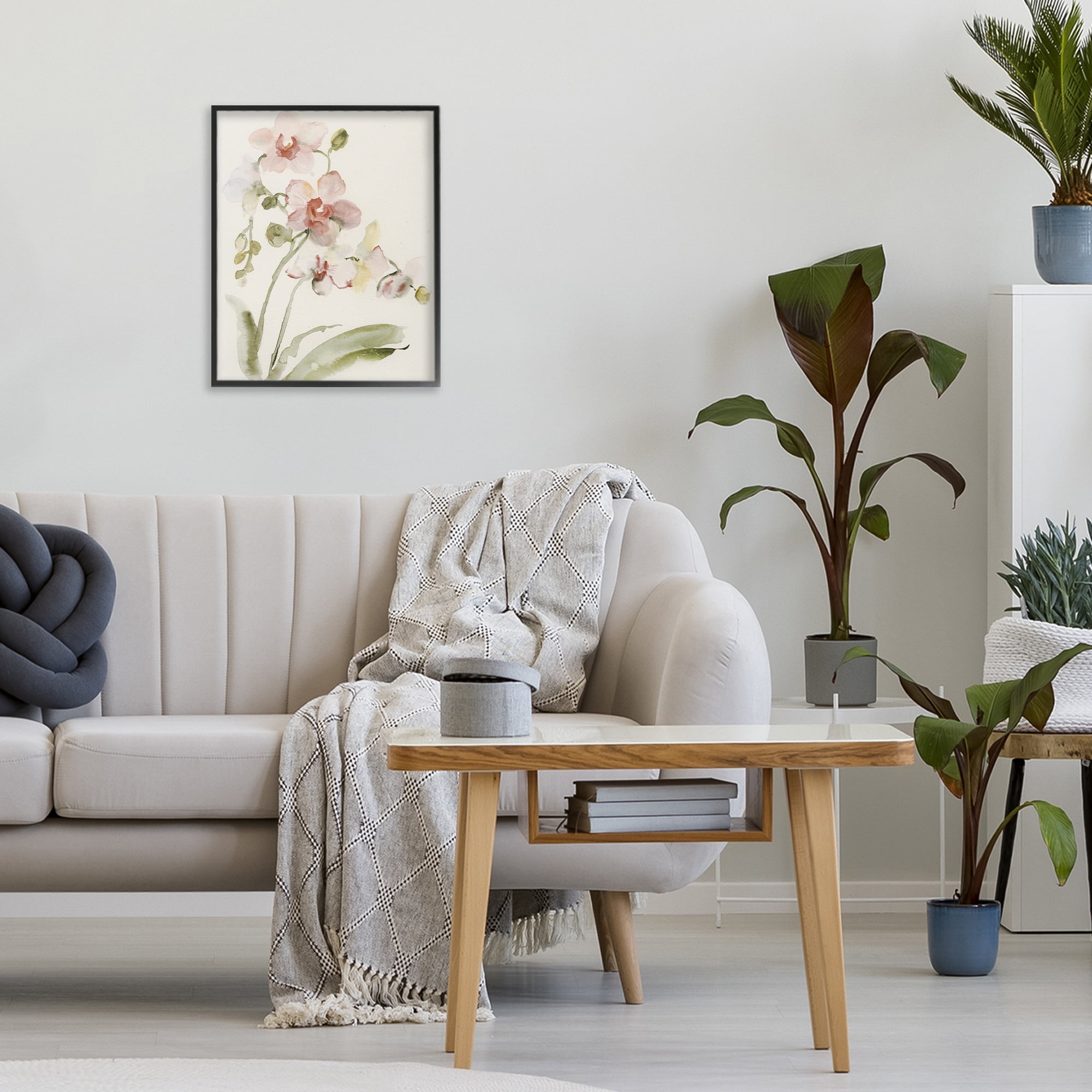 Stupell Industries Gentle Pink Orchid in Bloom Black Framed Giclee Art, design by Victoria Barnes