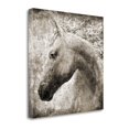 thumbnail image 2 of "Majestic Horse" By Eric Yang, Fine Art Giclee Print on Gallery Wrap Canvas, Ready to Hang, 2 of 2