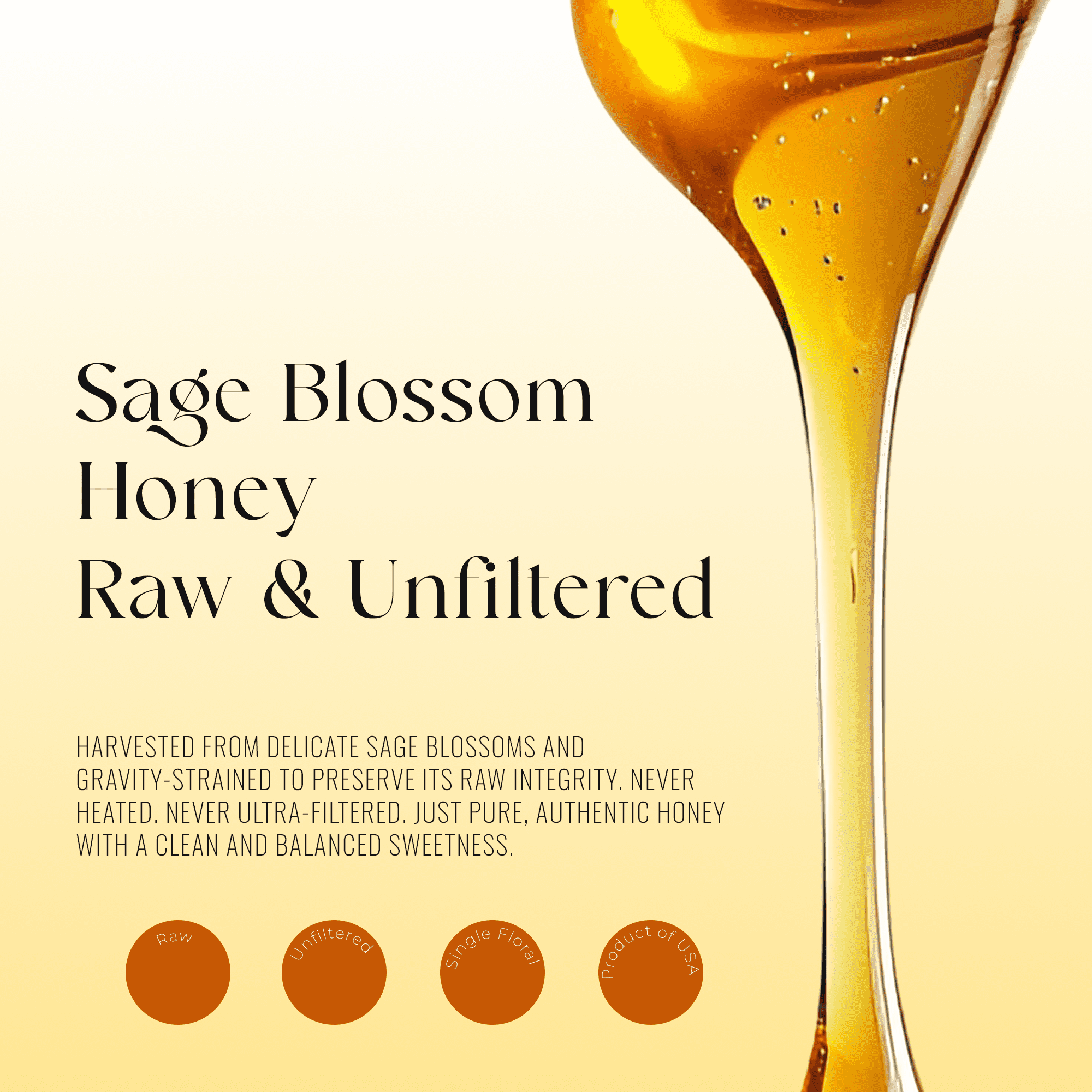 3 Packs of Sage Blossom - 100%  Natural Honey (12 Oz Each)