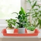 thumbnail image 2 of Maceta Rectangular de 2 uds., bandeja de agua, plato Rectangular para plantas, soporte para macetas de jardín, 2 of 6