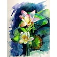 thumbnail image 2 of Kovacs, Anna Brigite 15x18 Gold Ornate Wood Framed with Double Matting Museum Art Print Titled - Water Lilly, 2 of 4