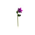 thumbnail image 5 of Forever Gifts Inc Flower Garden Decorative Solar Stake - Pink, 5 of 5