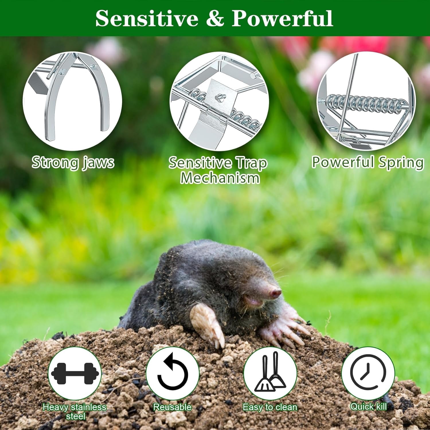 2 Pack Mole Traps That Kill Best, Mole Trap Easy to Set, Galvanized Steel Gopher Traps for Lawns, Reusable Quick Capture Gopher Hawk Vole Trap Outdoor Use