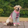 thumbnail image 3 of Pet's Clothes Christmas Dog Protective Sleeve Shirt Medium To Large Breeds Lick And Injury Prevention Lightweight And Breathable Ideal Outdoor And Indoor Use, 3 of 5