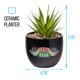 thumbnail image 3 of Planta decorativa artificial con vegetación artificial Silver Buffalo, 3 of 7