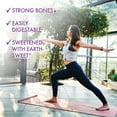 thumbnail image 2 of Bluebonnet Calcium Magnesium Vitamin D3 Bone Muscle & Relaxation*, 90 Orange Vanilla Chews, 2 of 9