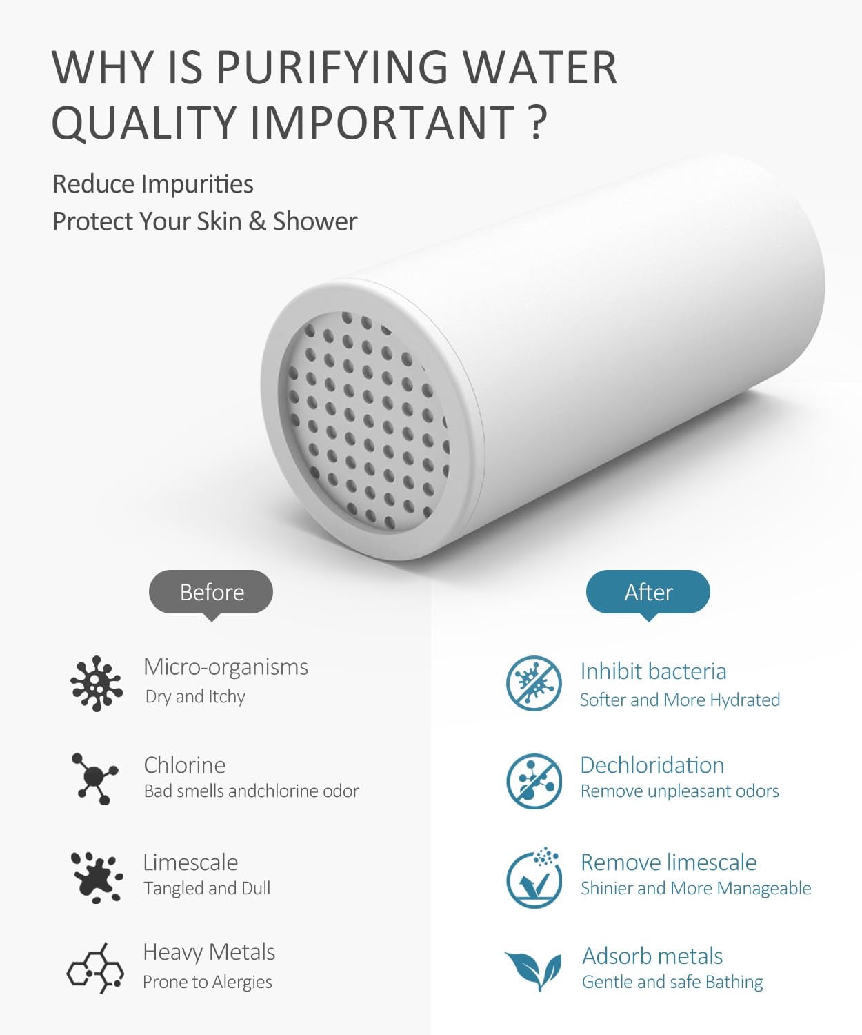 Black Handheld Filtered Shower Head with 12 Inch Rain Adjustable Extension Arm Dual Filter Kit