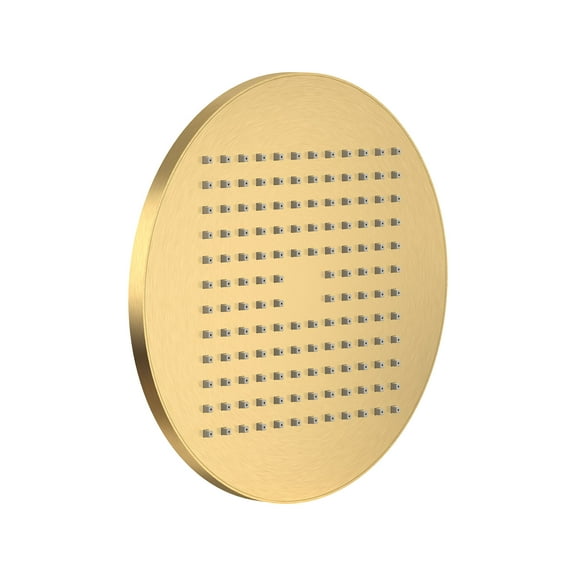 American Standard 1660.683 Modern Single Function Shower Head - Brushed Cool Sunrise