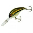 thumbnail image 2 of Bandit Series 300 Fishing Lure Hard Bait Crankbait Baby Bass 2 in 3/8 oz, 2 of 2