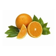 Valencia Oranges 5lb Box