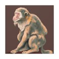 thumbnail image 1 of Monkeys in Moonlight Glory - Canvas, 1 of 10