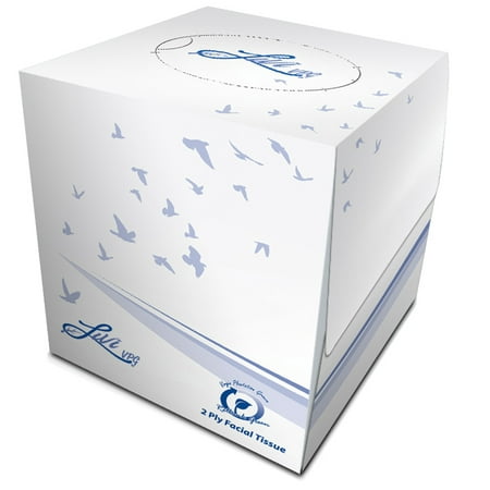Facial Tissue - Tall Box - Case of 36 (Best Facial Tissue Review)