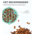 thumbnail image 2 of Outward Hound Fun Feeder Slo Bowl, Slow Feeder Dog Bowl, Small/Tiny, Mint, 2 of 5