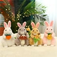 thumbnail image 6 of Bunny Stuffed Animals with Carrot,Easter Rabbit Plush Soft Cute Bunny Plush Toys Decoration for Boys and Girls Holiday Birthday Gift, 6 of 7