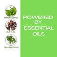 thumbnail image 4 of Flea  Tick Shampoo for Pets - Powered by Plant based Natural Essential Oils, 4 of 8
