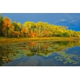 thumbnail image 2 of Jaynes Gallery 24x17 Gold Ornate Wood Framed with Double Matting Museum Art Print Titled - Canada-Ontario-Kenora District Forest autumn colors reflect on Middle Lake, 2 of 4