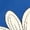 #0117-Blue, variant on Sokhug Women's Fashion T-Shirts Funny Fish Graphic Crew Neck Tees Summer Casual Lightweight Breathable Athletic Tops