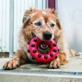 thumbnail image 2 of Juguete Kong Squeezz para Perros Grandes 15 cm, 2 of 2