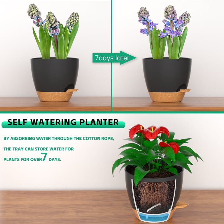 Fiason Self-Watering Plant Pots, 6 Inch, 5-Pack, Black photo 7