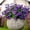 Purple, variant on Artificial Flowers for Outdoors, 6 Bundles Artificial Plants & Flowers Outdoor, UV Resistant Faux Flowers Outdoor Fake Flowers for Outside Porch Window Box Decoration
