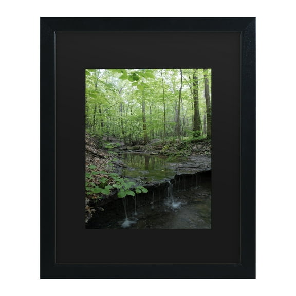 Trademark Fine Art 'Tiny Forest Falls' Canvas Art by Kurt Shaffer