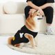 thumbnail image 4 of Camisetas para perros de algodón suave y elástico de verano para perros pequeños y gatos, con estampado de Mickey Mouse, ropa ligera y transpirable sin mangas para cachorros., 4 of 8