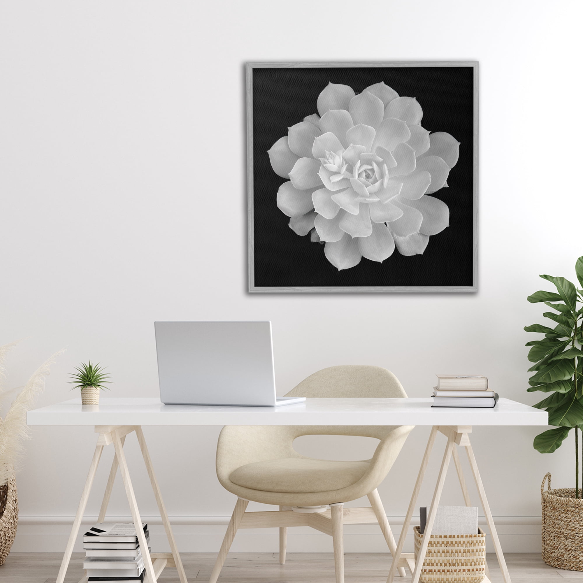 Pure White Succulent Contrast Gray Framed Giclee Art, design by Phillip Flowers