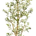 thumbnail image 2 of Nearly Natural 7.5' Olive Artificial Tree in Decorative Planter, Green, 2 of 3
