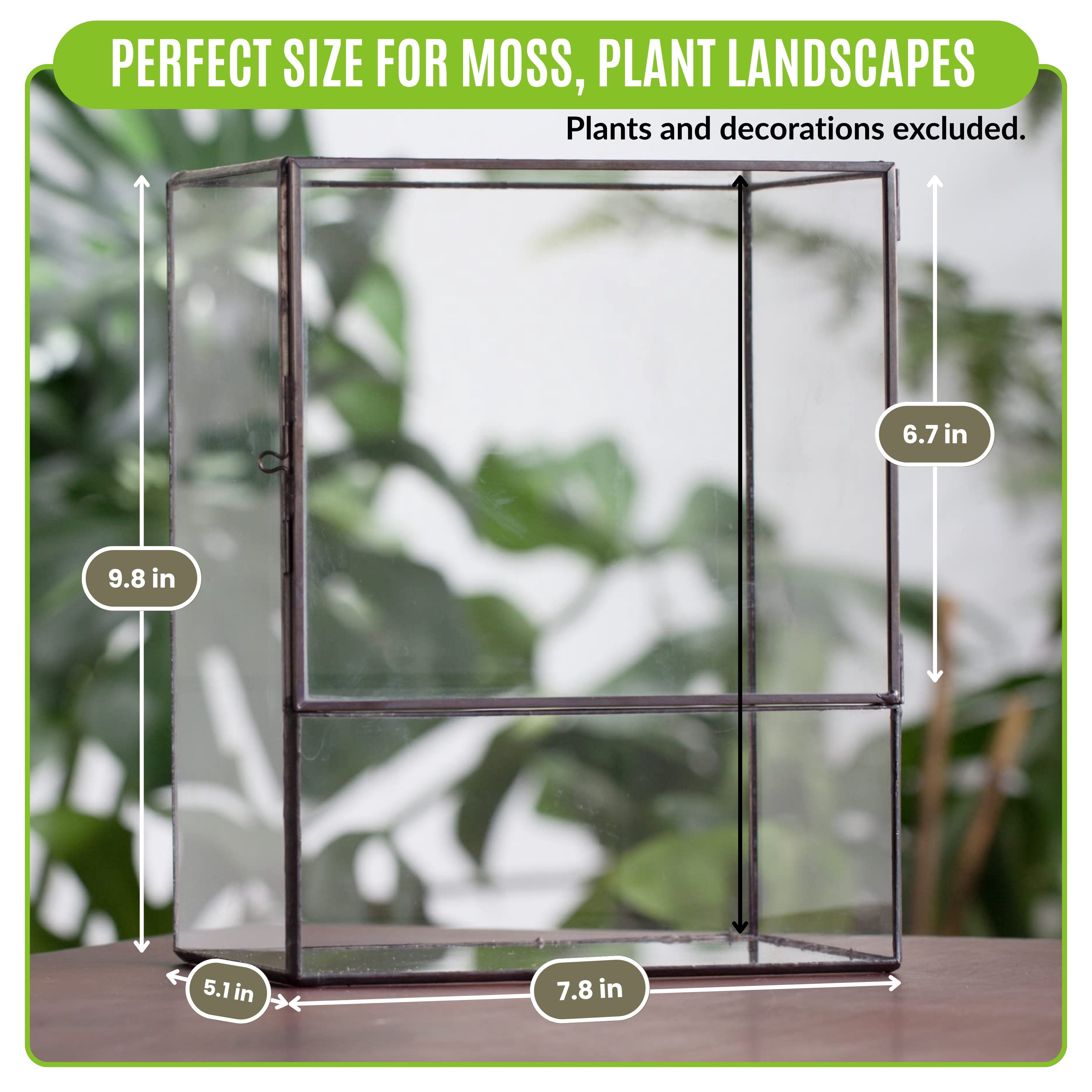 NCYP Small Rectangle Glass Terrarium with Door - Clear Tall Closed Geometric Planter for Moss, Fern, Indoor Tabletop Decor (Terrarium Only)