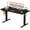 black, variant on One-Touch Lift Sit Stand Desk, 48"×24" Ergonomic Workstation, Electric Height Adjustment for Home & Office