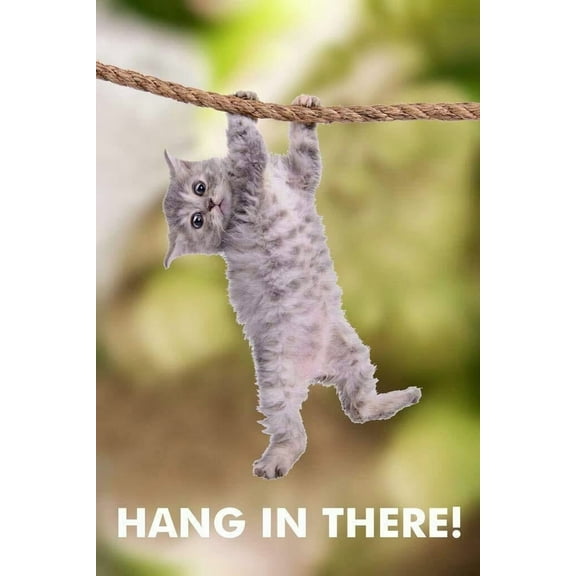 Cat Hang in There! Poster