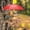 Brown, variant on Bird Feeder Table with Umbrella and Corn Cob Holder for Outdoor Garden Decoration and Squirrel Lovers - Bird Feeding Station and Animal Seat