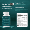 thumbnail image 5 of Akkermansia Probiotic Supplement – 3-in-1 Gut Health Supplement with Akkermansia Muciniphila, GLP-1 Probiotic & Organic Prebiotic Fiber – Daily Gut Support for Men & Women, 5 of 8