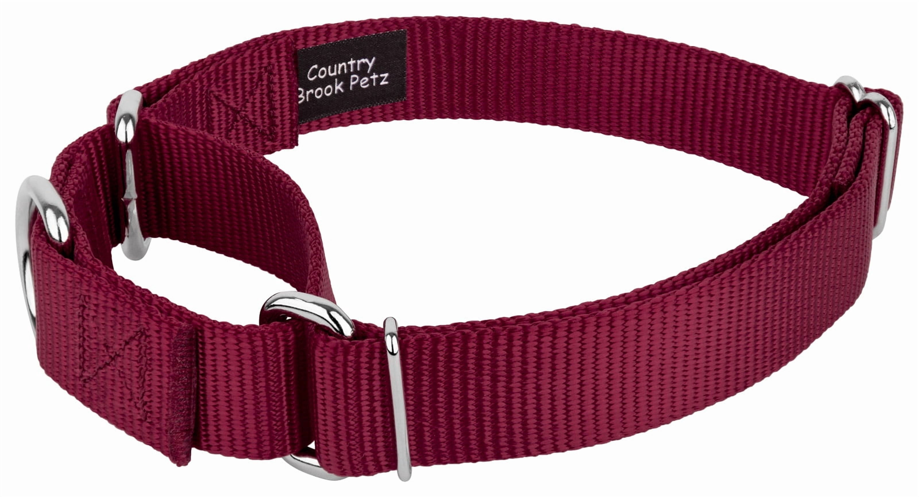 Country Brook Petz® Martingale Nylon Dog Collar & Double Handle Leash - Burgundy - Small