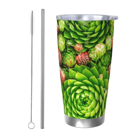 

Tideii Cactus And Succulents for 20OZ Car Cup Stainless Steel Cold and Hot Cup with Lid Suitable for Outdoor and Home Unisex-Straw Two-piece Set
