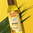 thumbnail image 6 of Burt's Bees Shea + Mango Glowing Body Oil, 1 Bottle, 5 fl oz, 6 of 13