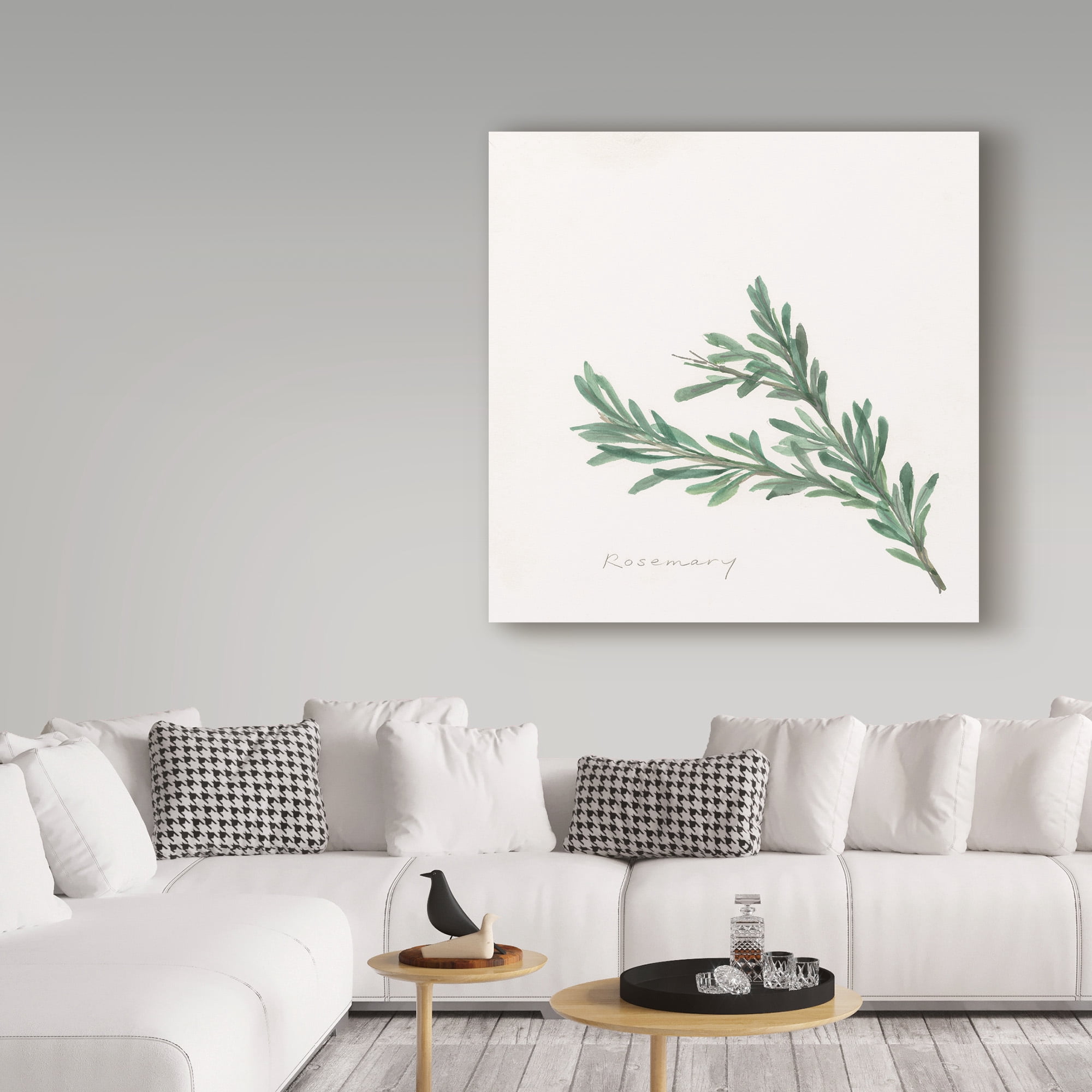Trademark Fine Art 'Rosemary' Canvas Art by Chris Paschke