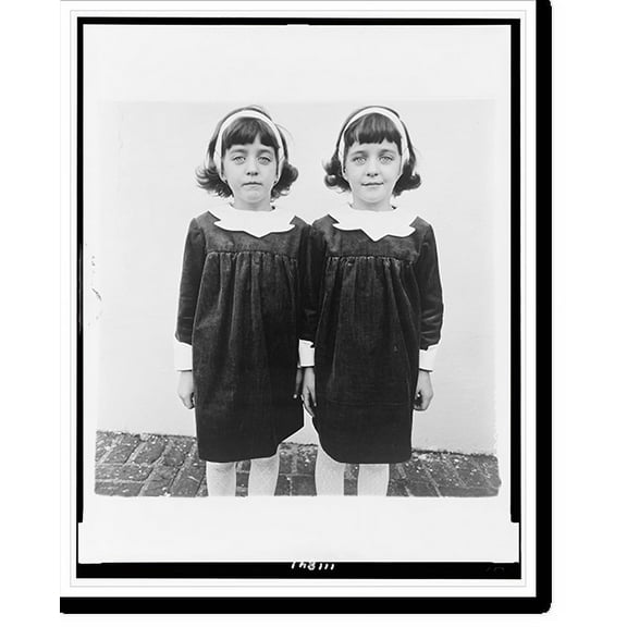 Historic Print, Identical twins, Roselle, N.J..Diane Arbus., 16" x 20"