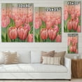 thumbnail image 4 of Designart 'Pink Tulips in Field' Traditional Print on Natural Pine Wood, 4 of 5