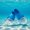 Blue and white XL, variant on Zeiwohndc Flexible Fin Snorkeling Swimming Diving Floatings Fin Swim Training Flippers