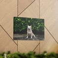 thumbnail image 6 of Majestic Chihuahua Art Majestic Chihuahua Print Animal Wall Art Wildlife Canvas Prints Wall Art Ready to Hang Unframed, 6 of 18