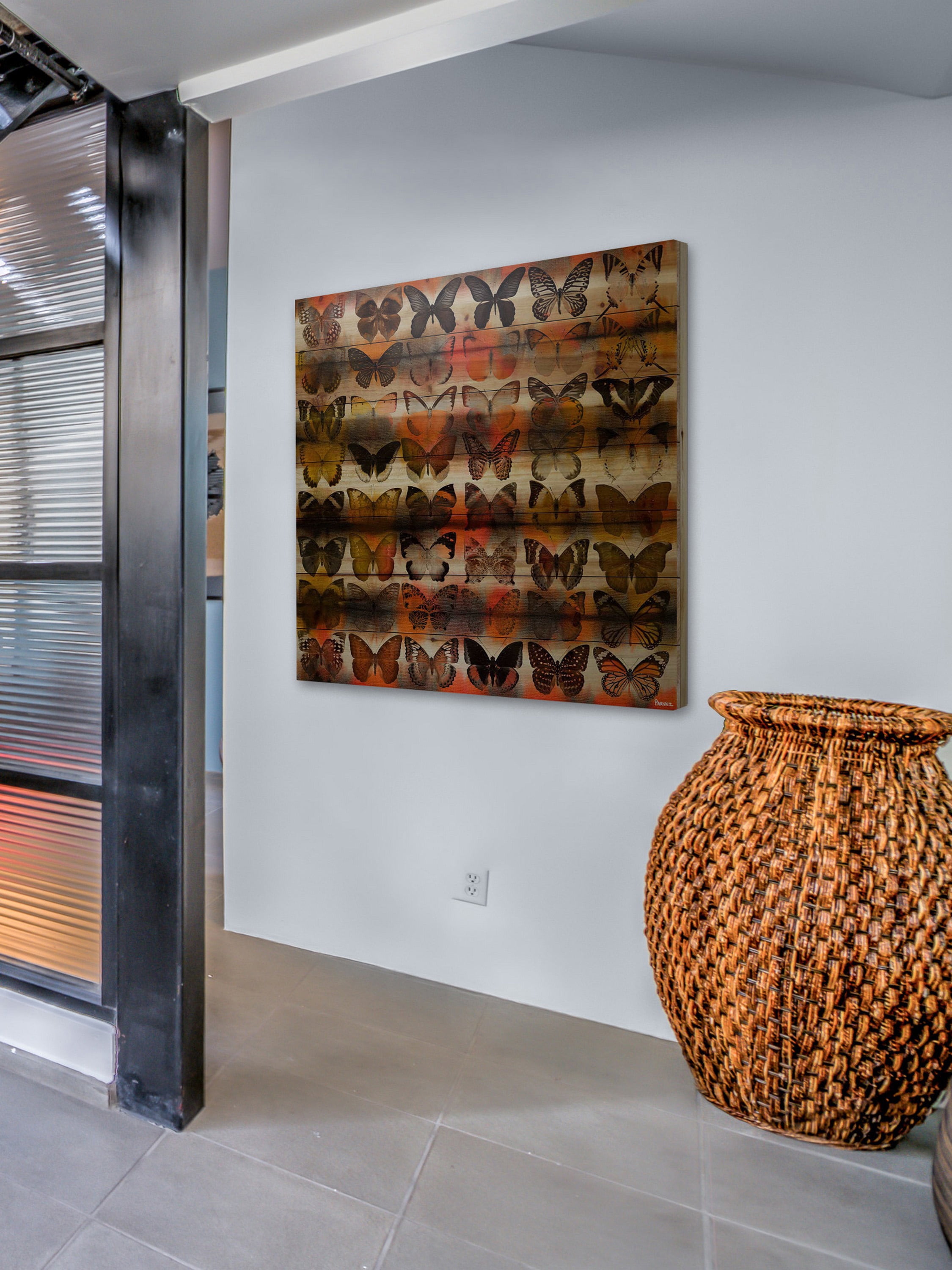 Parvez Taj Moths in Rows Pinewood Wall Art, 18" x 18"