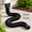 Black, variant on Green 16.5ft Flexible Gutter Downspout Extension, 4" Diameter Extendable Rain Drain