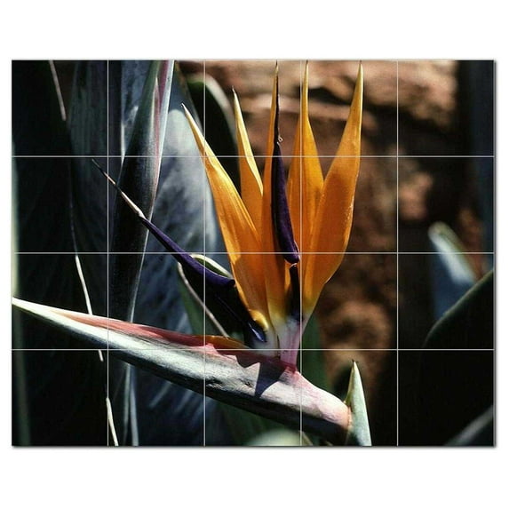 Flowers Usda Ceramic Tile Mural Kitchen Backsplash Bathroom Shower, 405100-M54