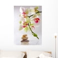 thumbnail image 1 of Orchida Es Et Galets Wall Mural by Wallmonkeys Peel and Stick Graphic (36 in H x 26 in W) WM341953, 1 of 4