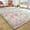 Rainbow, variant on Homore Cute Fluffy Rainbow Area Rugs for Girls Room, Soft Shaggy Colorful Rugs Plush Floor Carpets Princess Rug for Bedroom,3'x5',Hot Pink
