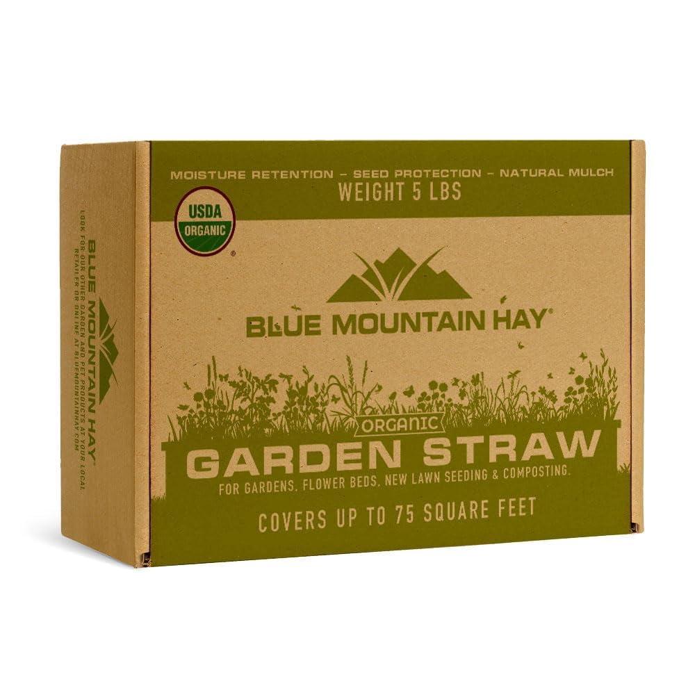 Blue Mountain Hay Organic Garden Straw (5 lb) - Natural Mulch for Gardening, Flower Beds & Landscaping, New Lawn Grass Seeding, Compost, Raised Garden Bed, Cat Grass & Grass Seed