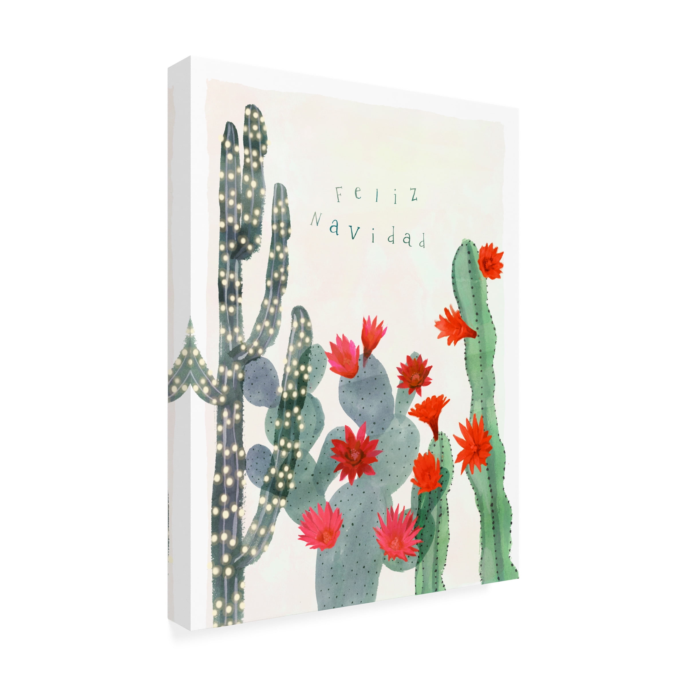 Victoria Borges 'Desert Christmas Cactus II' Canvas Art