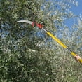 thumbnail image 4 of 24ft Manual Pole Saw, Lightweight Tree Trimmers Long Handle Pruner Set, Sharp Steel Blade and Scissors Pole Saw for Trimming Palm, Pear Tree, Fir Tree, Other High Trees and Shrubs, 4 of 9