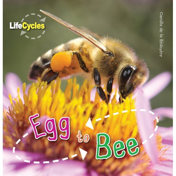 Pre-Owned Egg to Bee (Paperback) 1682970329 9781682970324